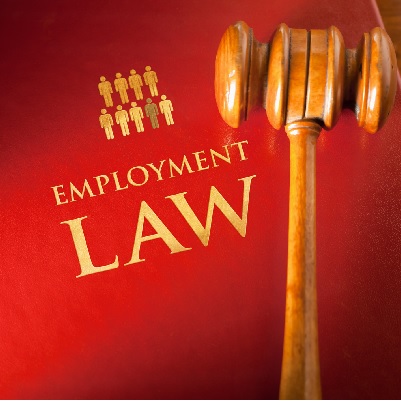 Image representing P073 A Basic Introduction to Employment Law for the Dental Team 