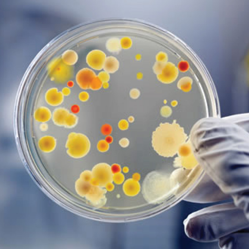 Image representing P147 Infection Control Procedures