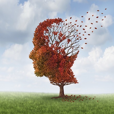 Image representing P183 Mental Capacity Act 2005 England and Wales