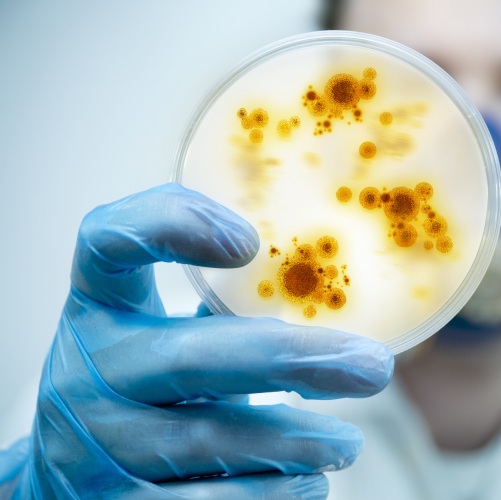 Image representing P290 Infection Control Update