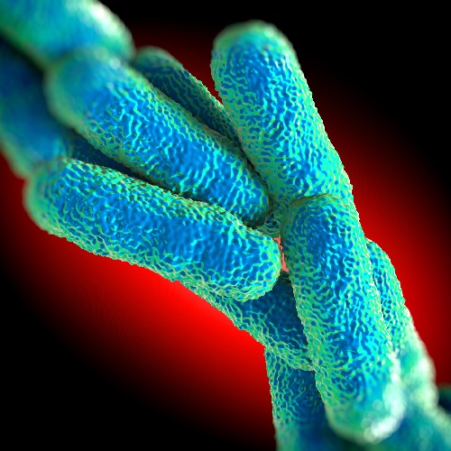 Image representing P707 Legionella Awareness