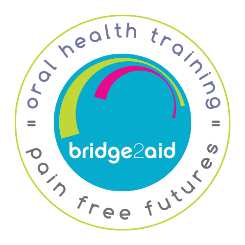 Bridge 2 Aid logo